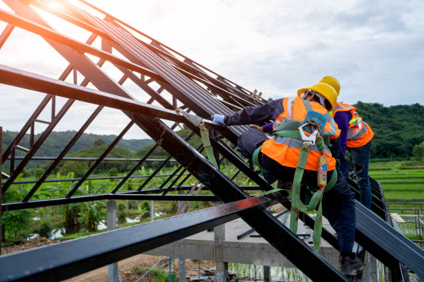 Best Roof Gutter Cleaning  in Dash Point, WA
