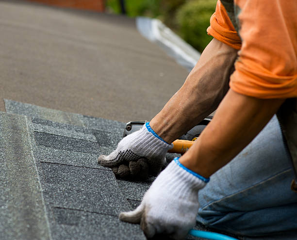Best Roof Repair Services  in Dash Point, WA