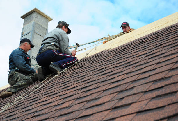 Best Roofing Contractors for Homes  in Dash Point, WA